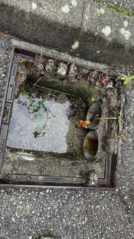 nettoyage de grille eaux pluviales dans un lotissement à Charantonnay