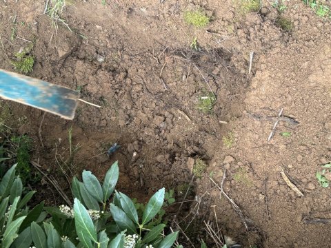 débouchage d'une canalisation eau pluviale dans un bâtiment à L'isle d'Abeau