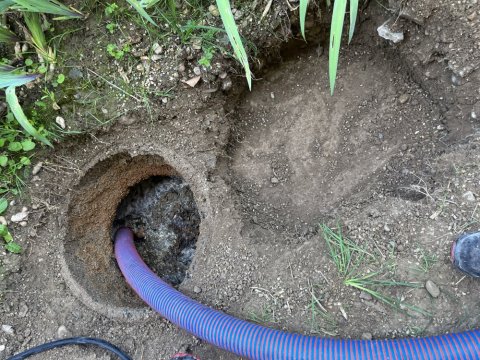 vidange d'une fosse totutes eaux pour entretien à Roche