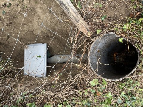 découpe de racine dans un regard eaux usées à Bonnefamille