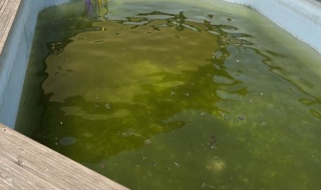 vidange et nettoyage d'une piscine hors sol à Saint Agnin sur Bion