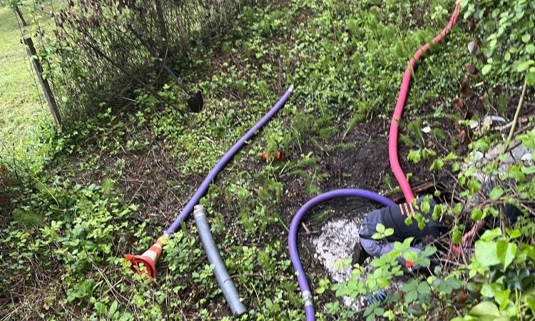 vidange et nettoyage d'une cuve à eau à Four 