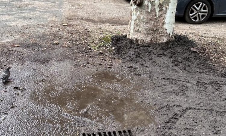 nettoyage de grille d'eaux pluviales dans la cours d'une agence bancaire à Macon