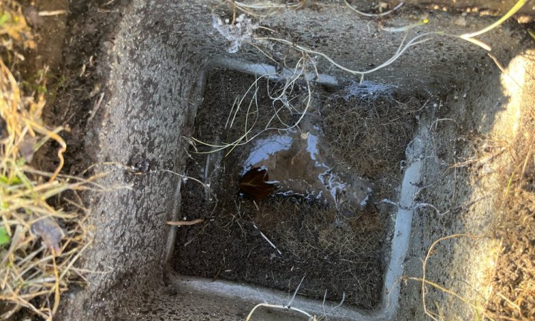 vidange d'une fosse et septique et débouchage canalisation wc à Courtenay 