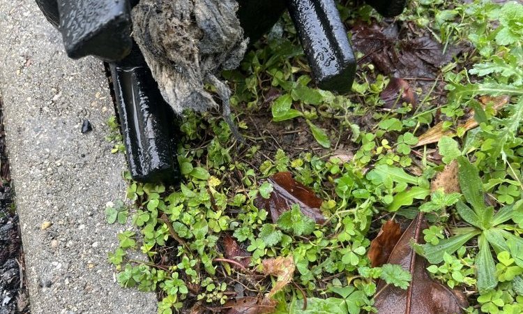 nettoyage et débouchage d'une pompe de relevage avec changement de couvercle à Saint-Agnin-Sur-Bion