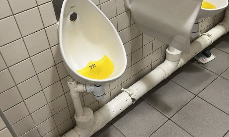 curage préventif de canalisation wc et urinoir sur une aire autoroutière à L'Isle d'Abeau