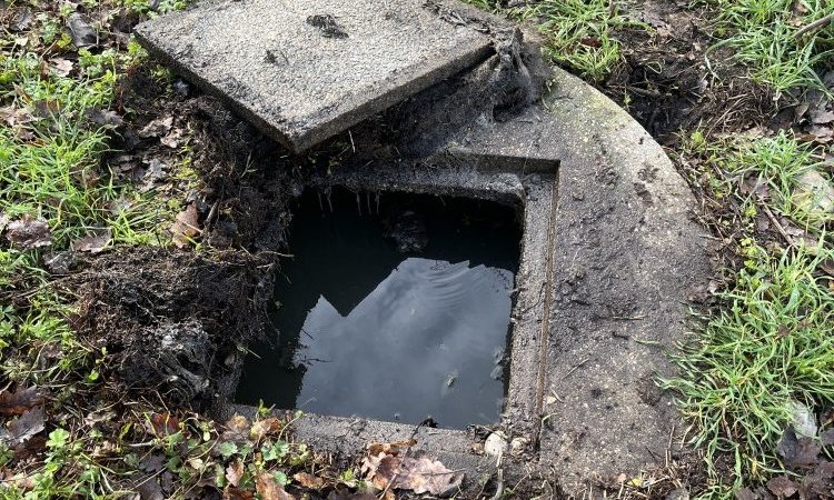 vidange et nettoyage d'une fosse toutes eaux et d'un puits perdu pour entretien à Saint Jean de Bournay