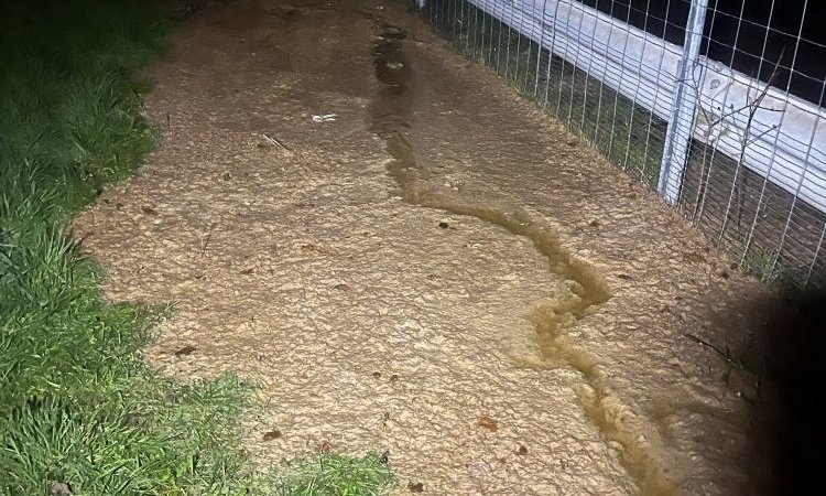 débouchage d'un collecteur eu de nuit à Loyette 