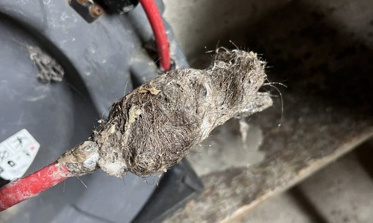 débouchage canalisation dans un salon de coiffure à Heyrieux