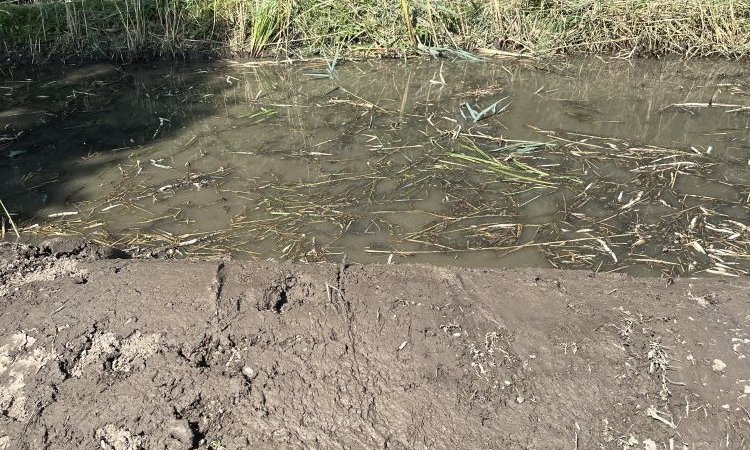 débouchage d'une canalisation de trop plein de bassin d'infiltration pour une entreprise de btp à Bourgoin Jallieu