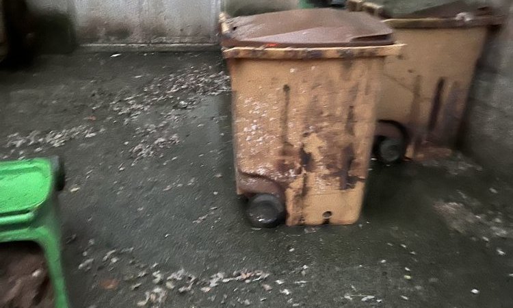 pompage de poubelles de dégrilleur de station d'épuration à Pommier