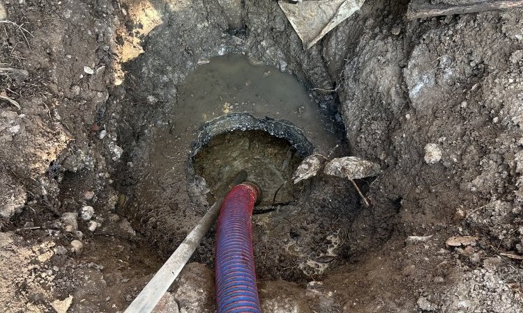 vidange et nettoyage d'une fosse septique pour entretien  à Chèzeneuve 