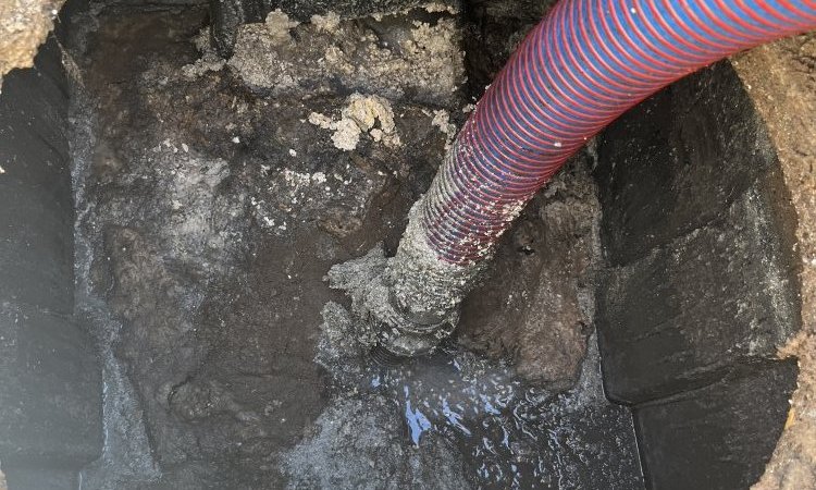 vidange et nettoyage d'une fosse toutes eaux pour entretien à Saint Agnin sur Bion