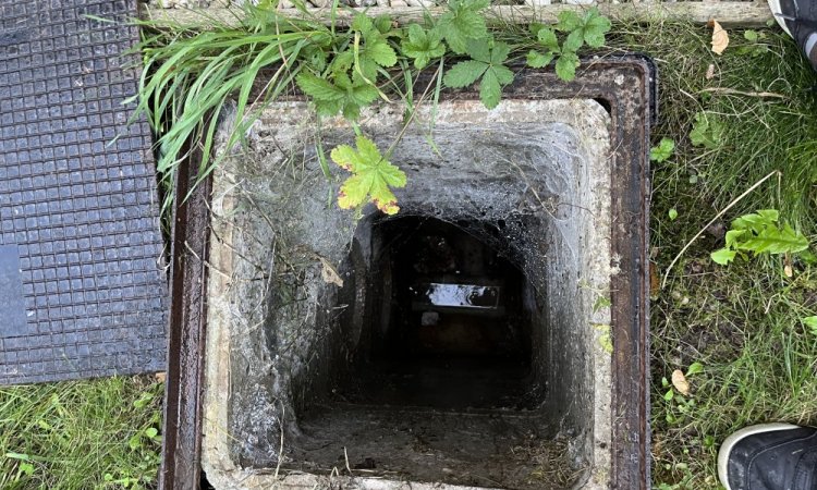 débouchage canalisation wc avec mini hydrocureur dans un ehpad à Heyrieux 