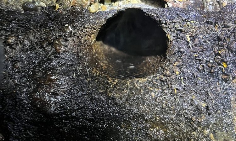vidange d'une fosse septique pour débouchage canalisation sans accès à Saint Just Chaleyssin